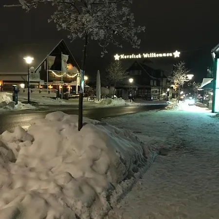 Ferienwohnung Am Waltenberg 50 Winterberg